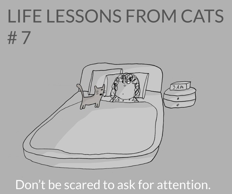 cat-lessons-07