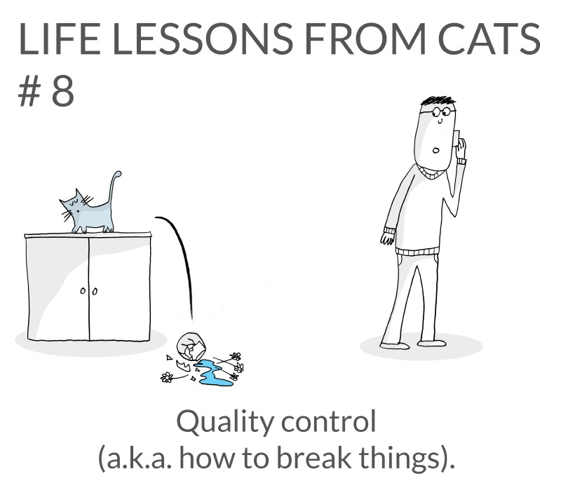 cat-lessons-08