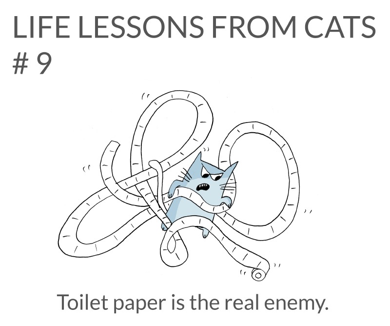 cat-lessons-09