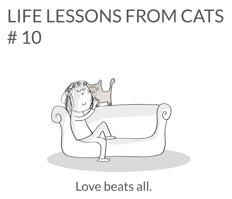 cat-lessons-10