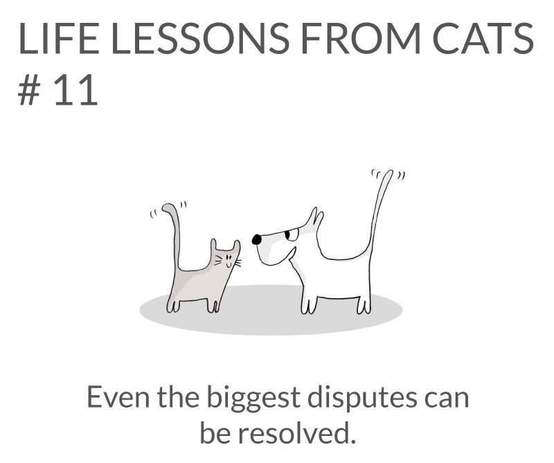 cat-lessons-11