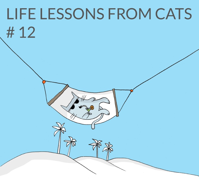 cat-lessons-12
