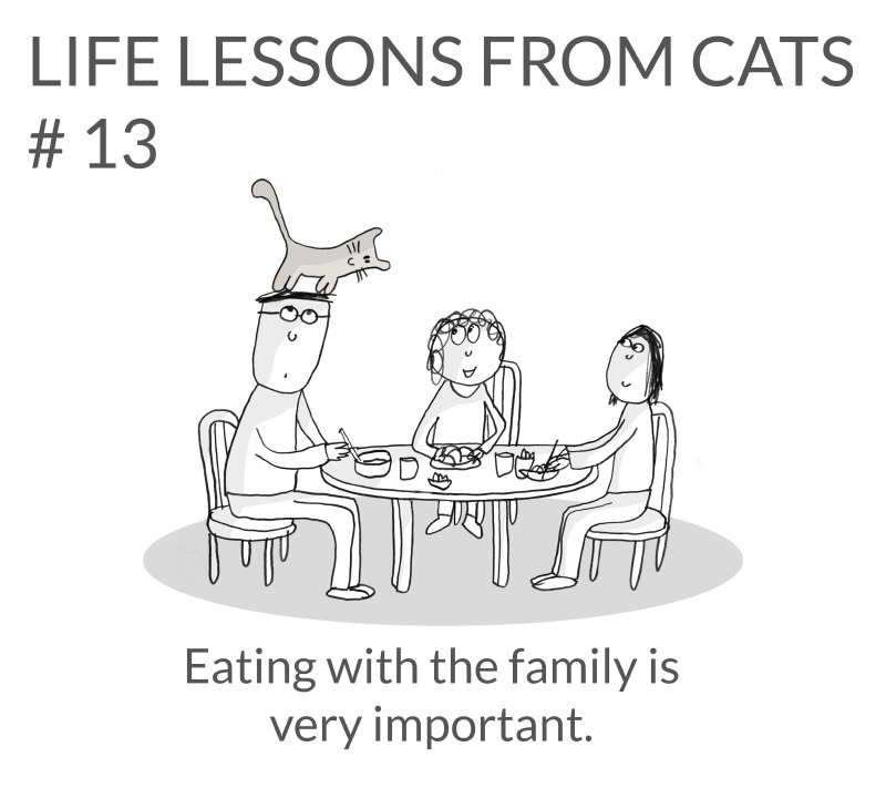 cat-lessons-13