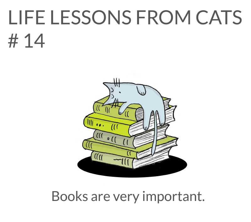 cat-lessons-14