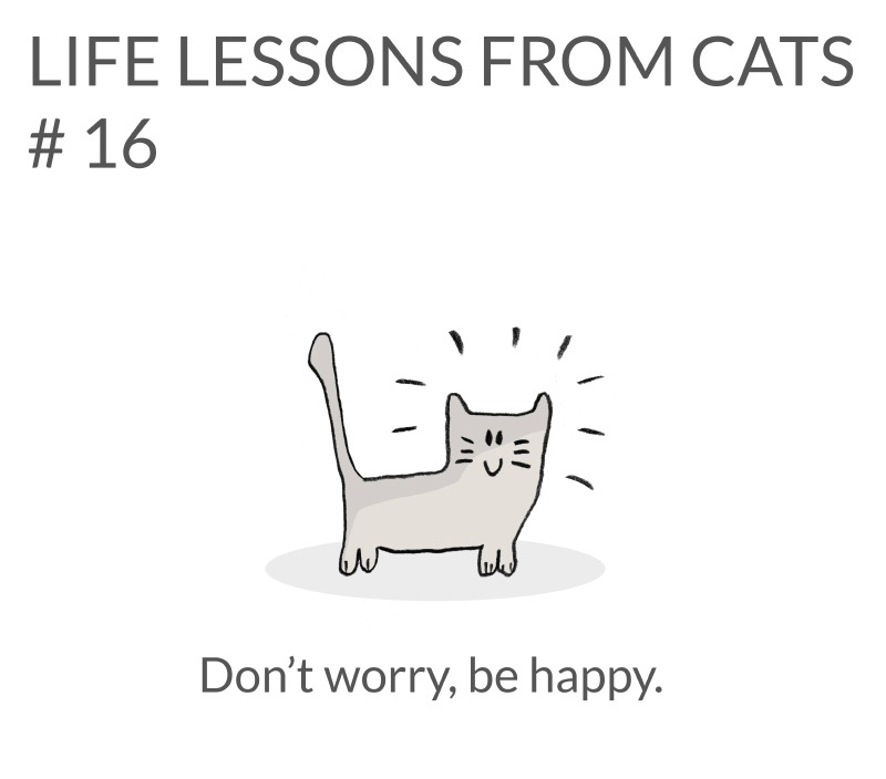 cat-lessons-16