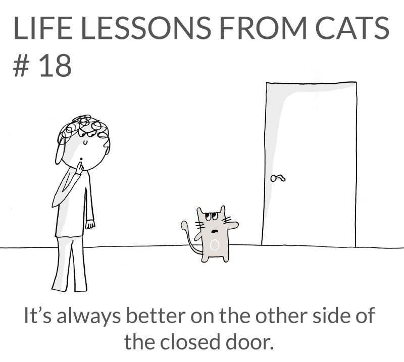 cat-lessons-18