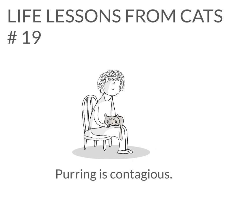 cat-lessons-19