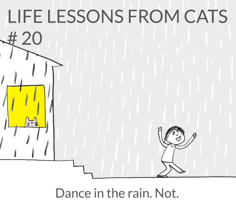 cat-lessons-20