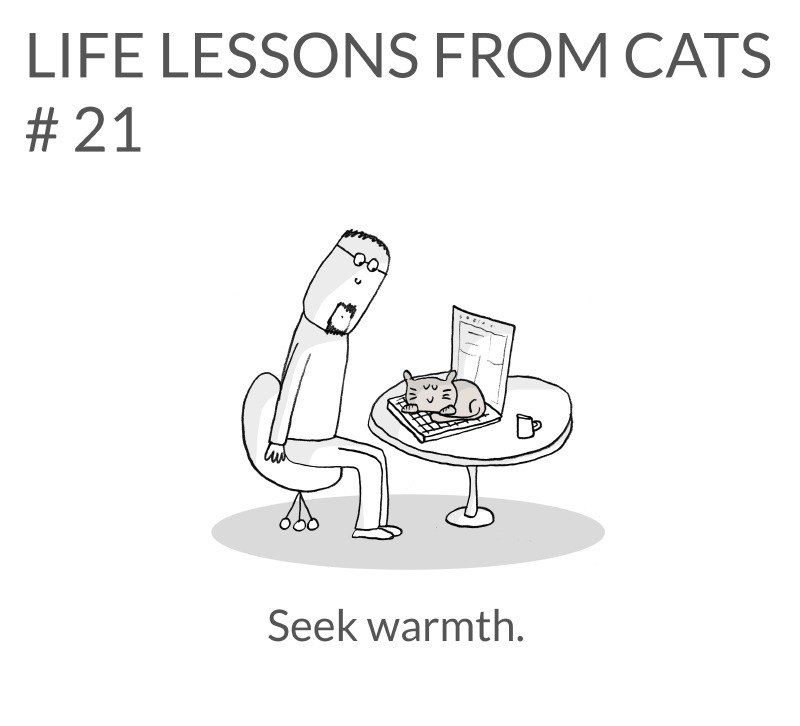 cat-lessons-21