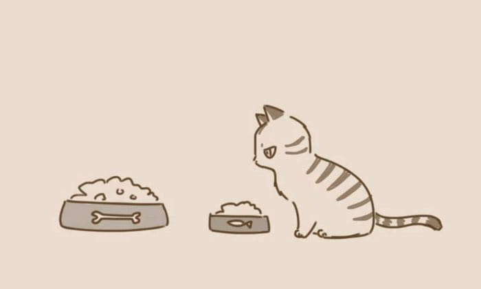 comic-unexpected-side-of-cats-14