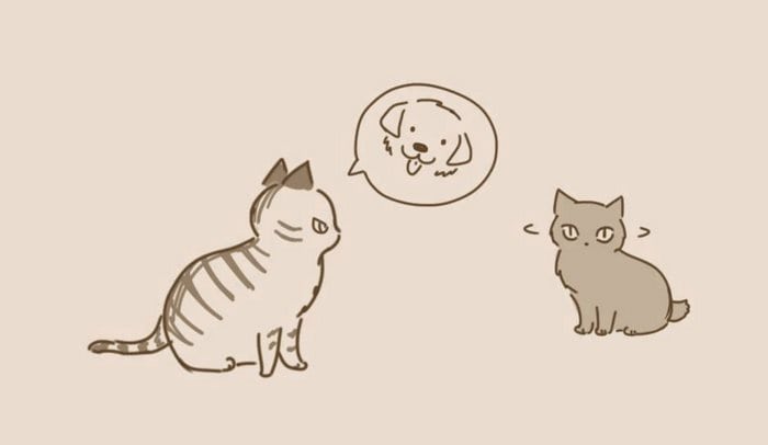 comic-unexpected-side-of-cats-17