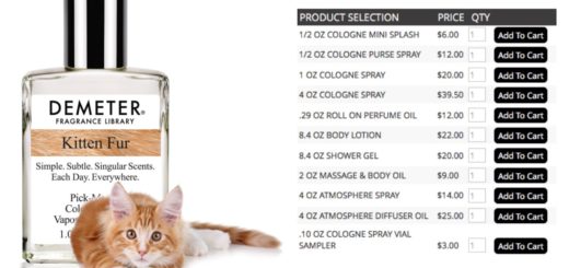 kitten-perfume-feature