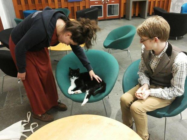 library-cats-08