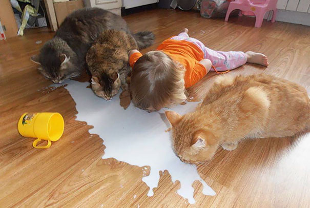 reasons-leave-cat-with-kids-1