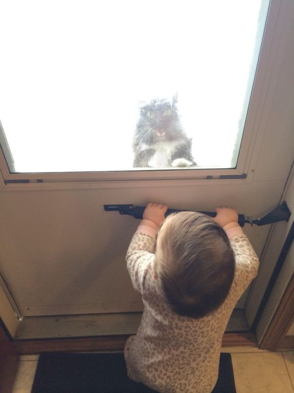 reasons-leave-cat-with-kids-12