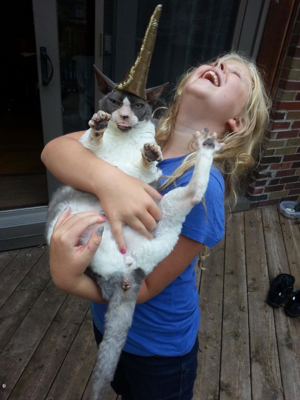 reasons-leave-cat-with-kids-9