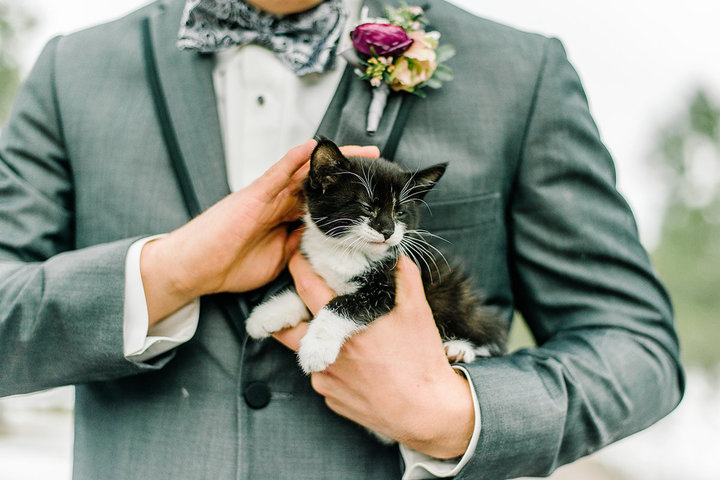 rescue-kitty-wedding-04