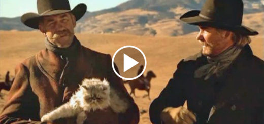 Featured-Cowboys-Herding-Cats-FB