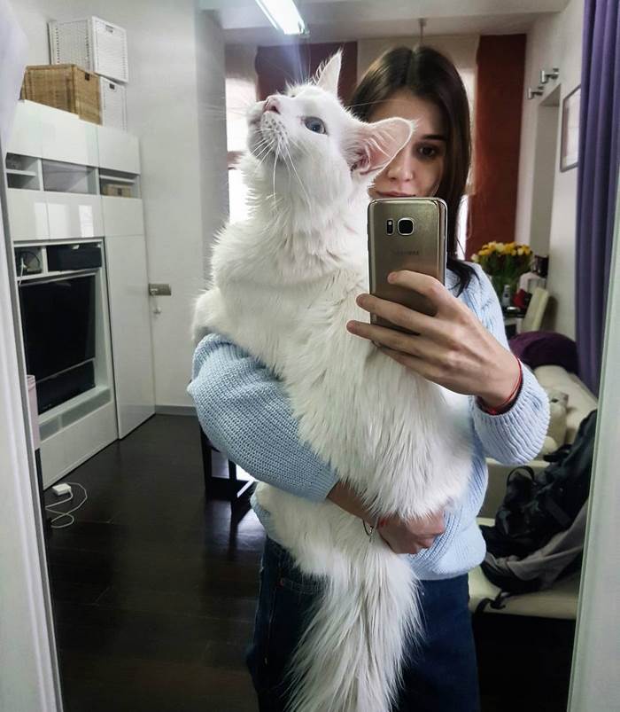 maine-coon-cat-hugs-owner-tihon-9