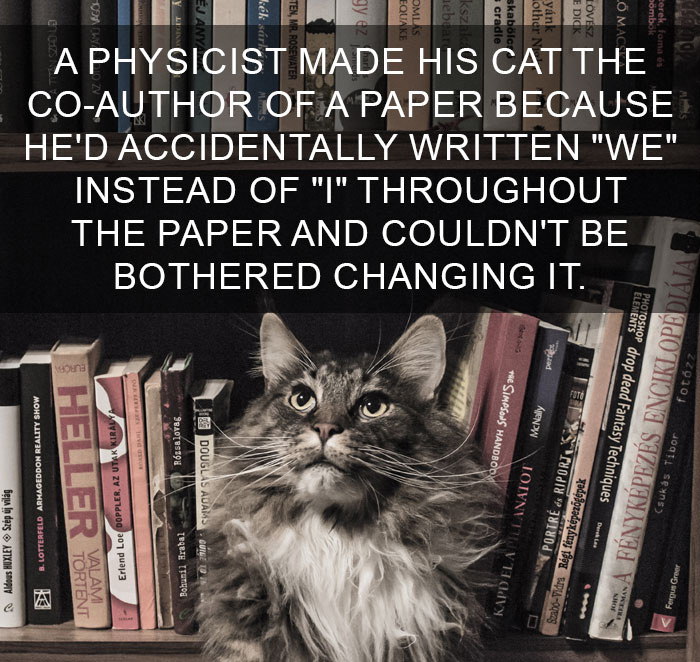 Cat-Facts-7