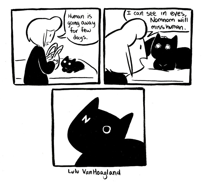 cat-comics-lulu-vanhoagland-art-5