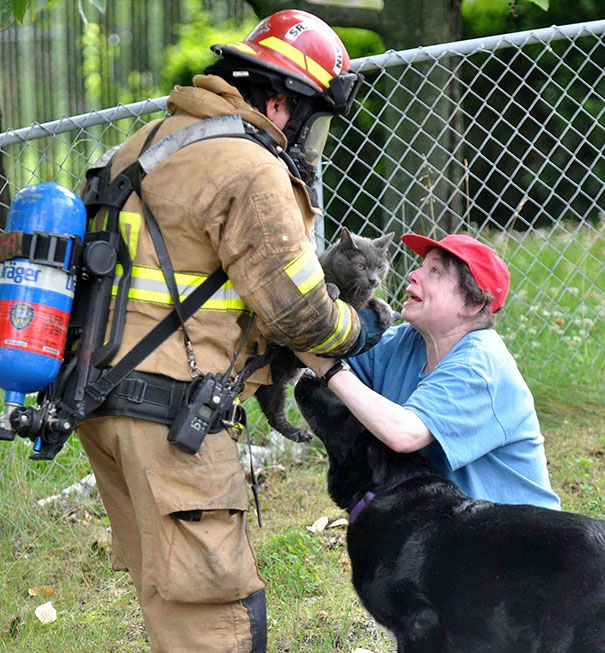 firefighters-rescue-cats-6