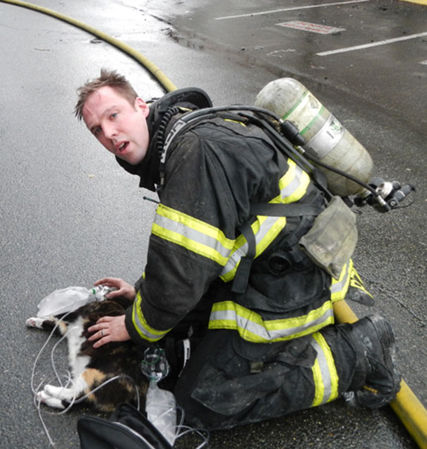 firefighters-rescue-cats-7