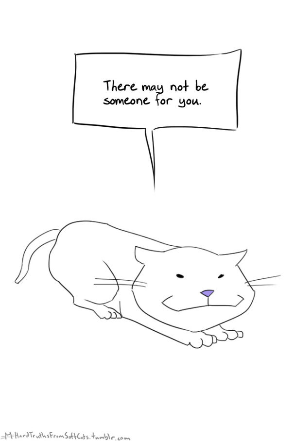 hard-truths-from-soft-cats-illustrations-10