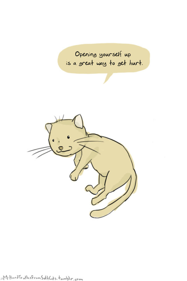 hard-truths-from-soft-cats-illustrations-14