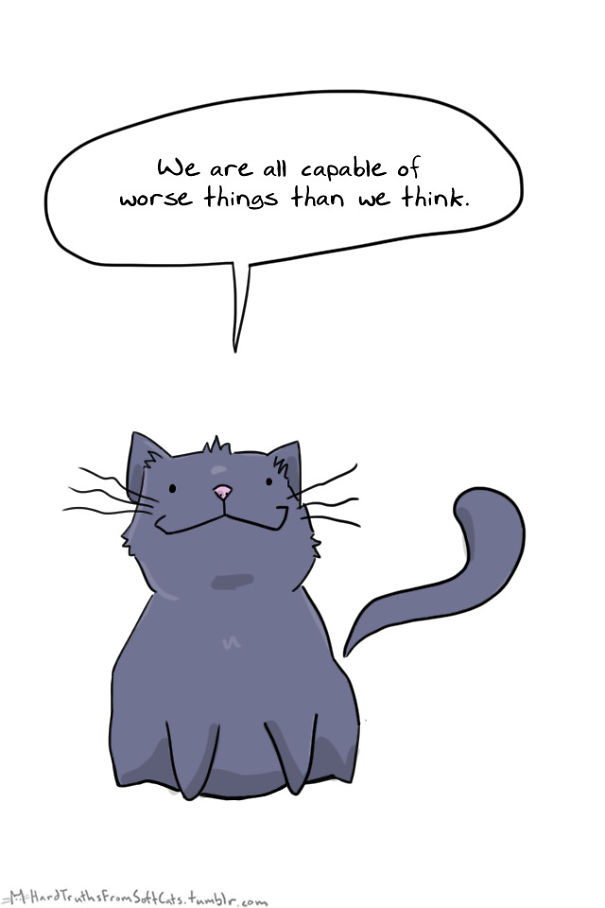 hard-truths-from-soft-cats-illustrations-15