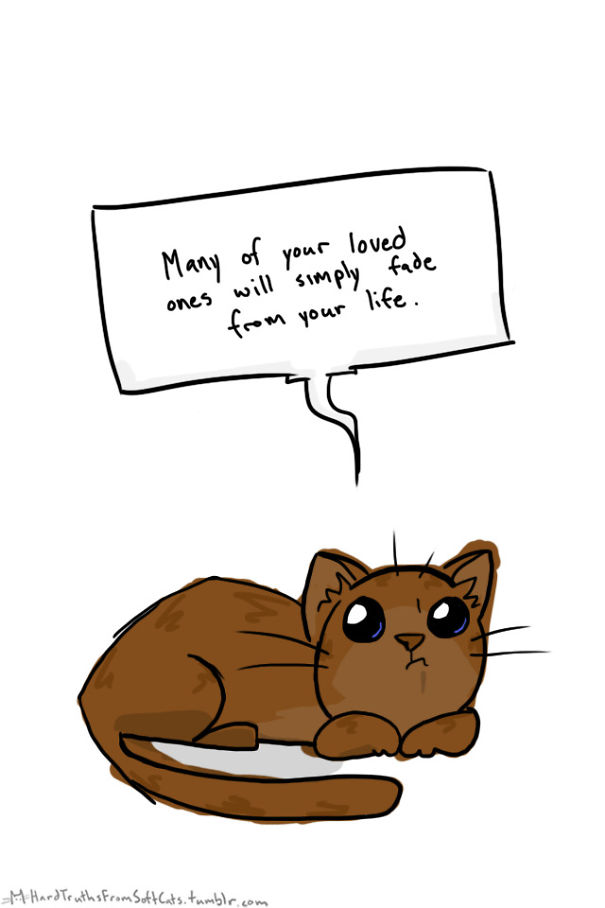 hard-truths-from-soft-cats-illustrations-17