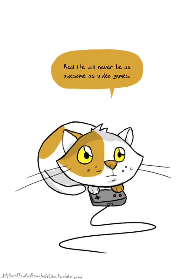 hard-truths-from-soft-cats-illustrations-20