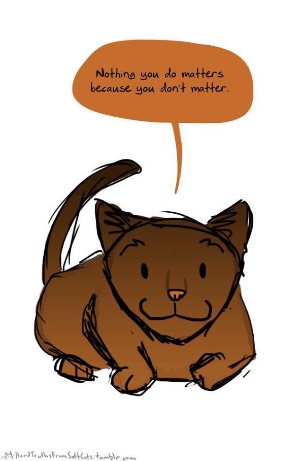 hard-truths-from-soft-cats-illustrations-21
