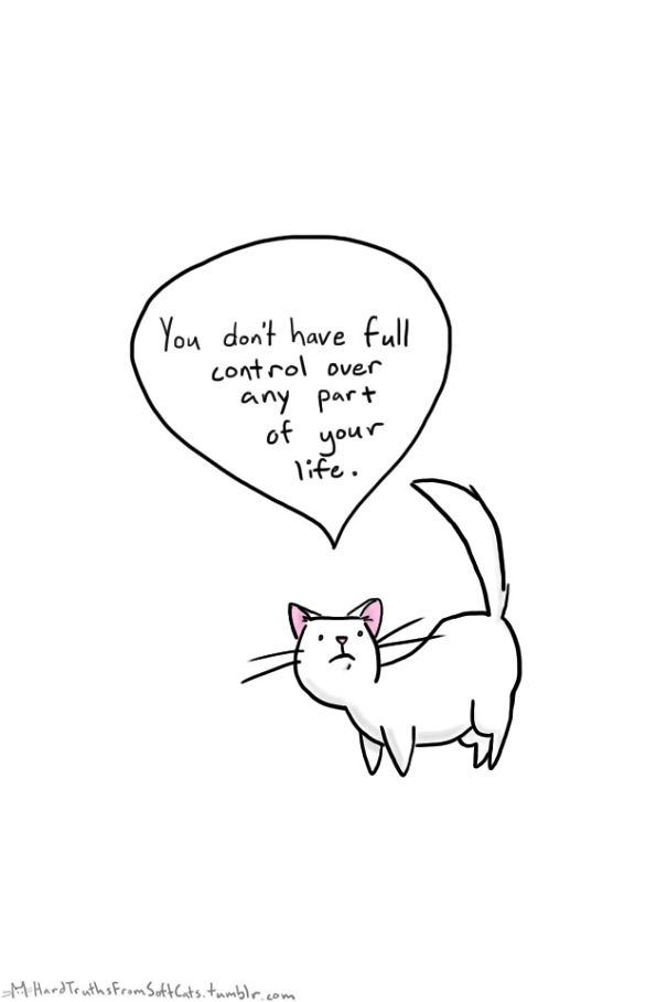 hard-truths-from-soft-cats-illustrations-24