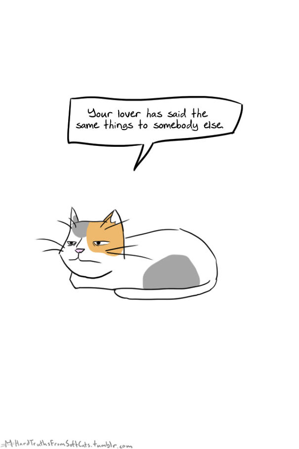 hard-truths-from-soft-cats-illustrations-25