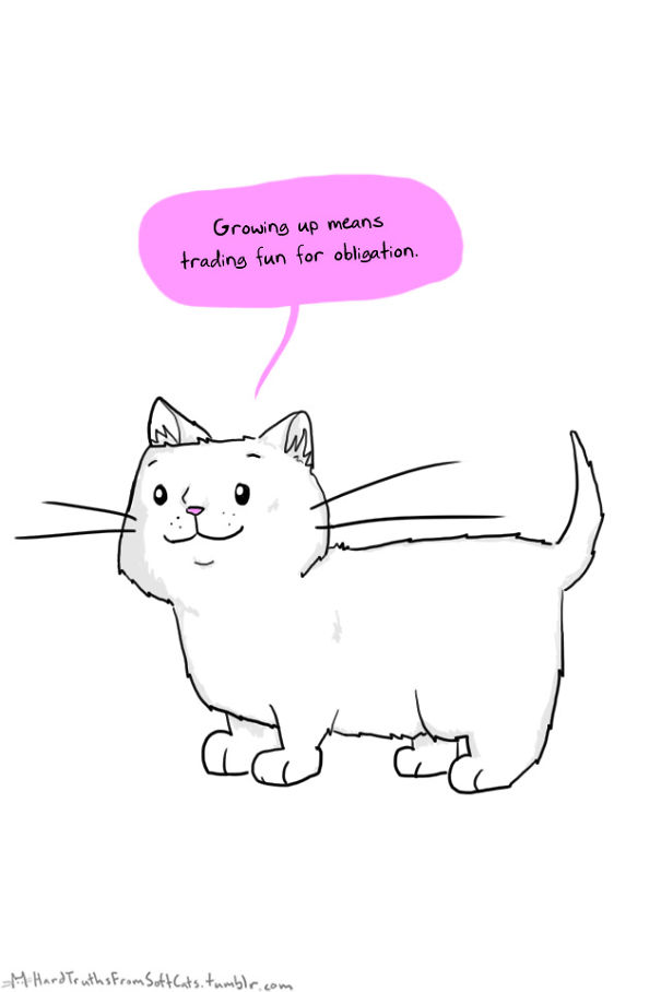 hard-truths-from-soft-cats-illustrations-28