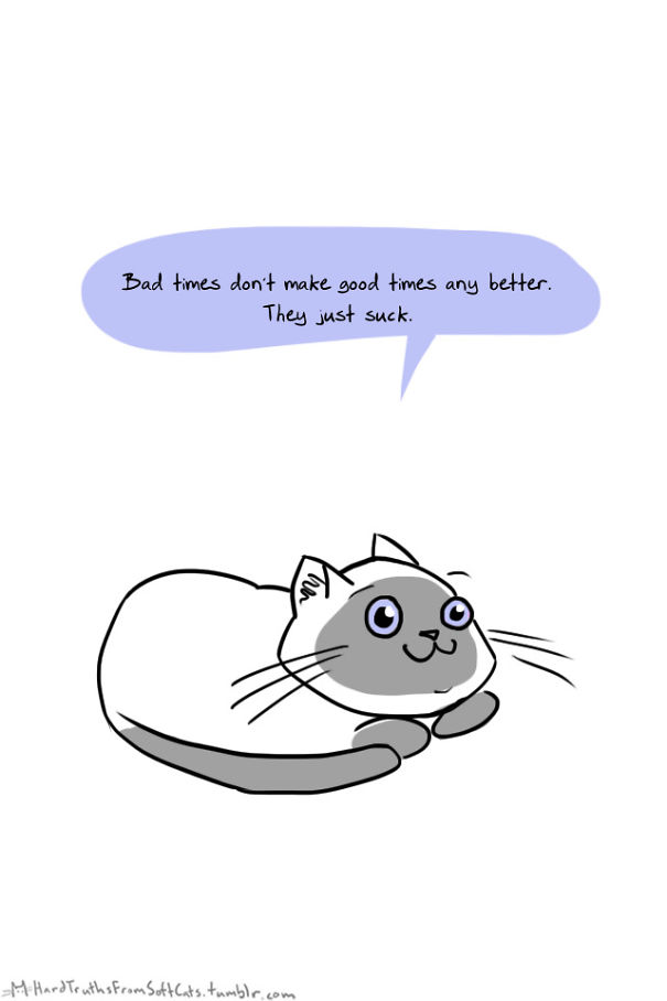 hard-truths-from-soft-cats-illustrations-30