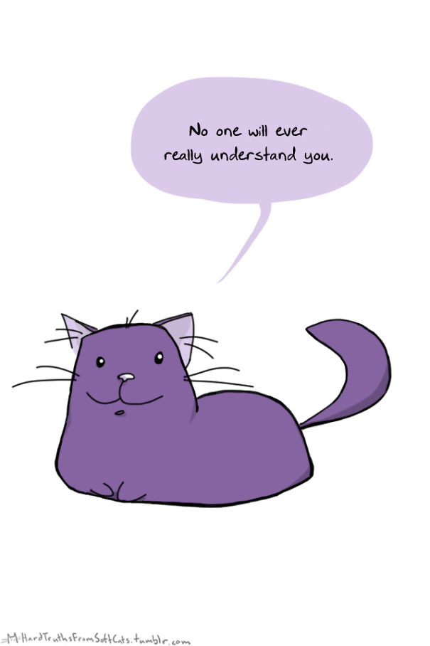 hard-truths-from-soft-cats-illustrations-7
