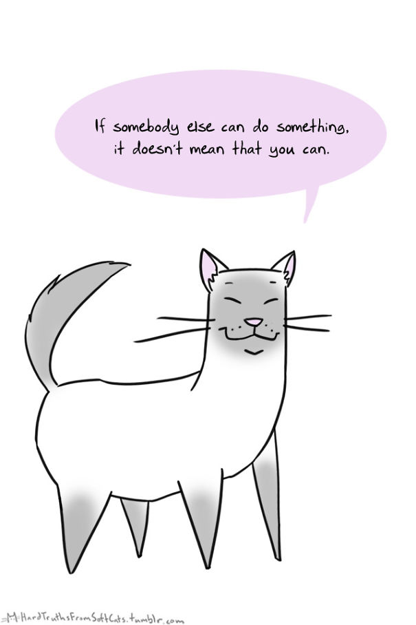 hard-truths-from-soft-cats-illustrations-8
