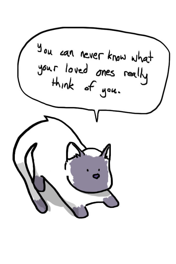 hard-truths-from-soft-cats-illustrations-9