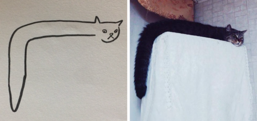Featured-Drawn-Cats-FB