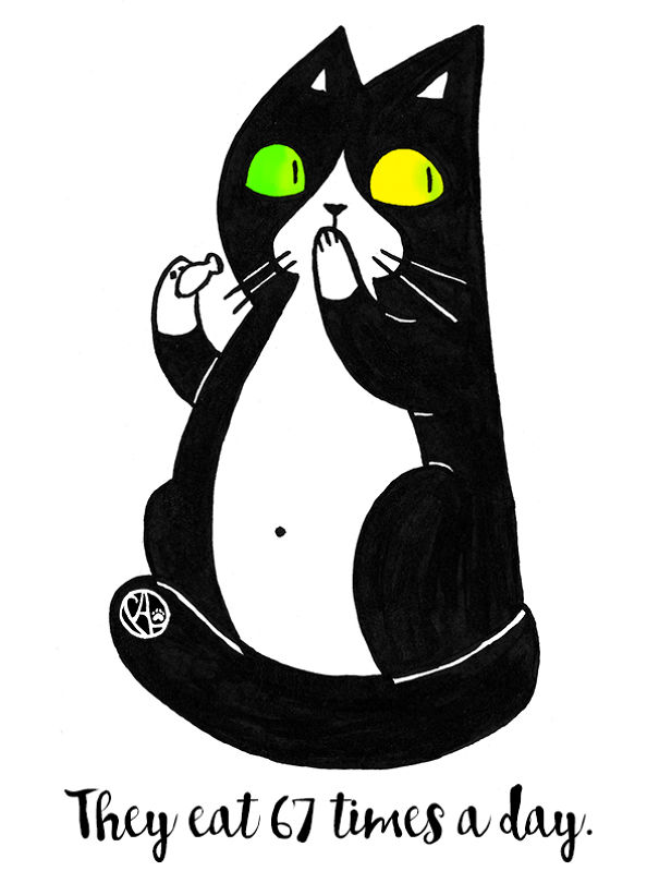 cat-life-drawings-07