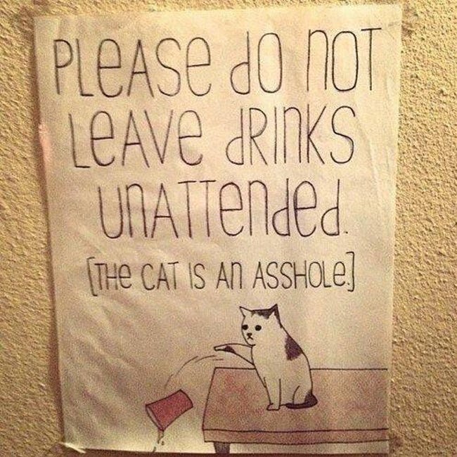 funny-cat-signs-02