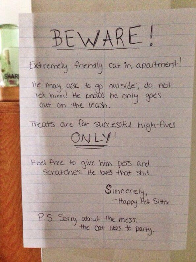 funny-cat-signs-04