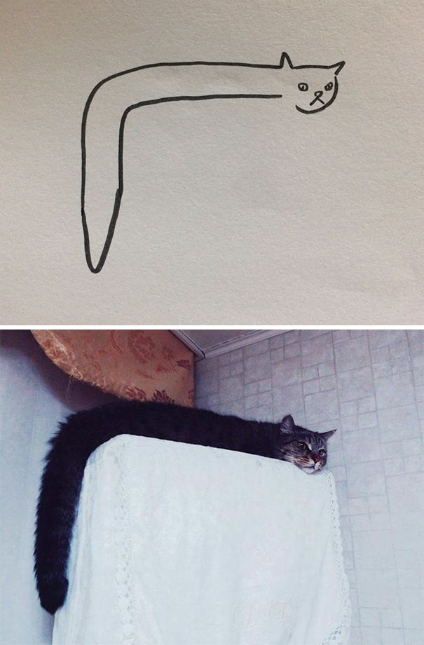 funny-poorly-drawn-cats-1