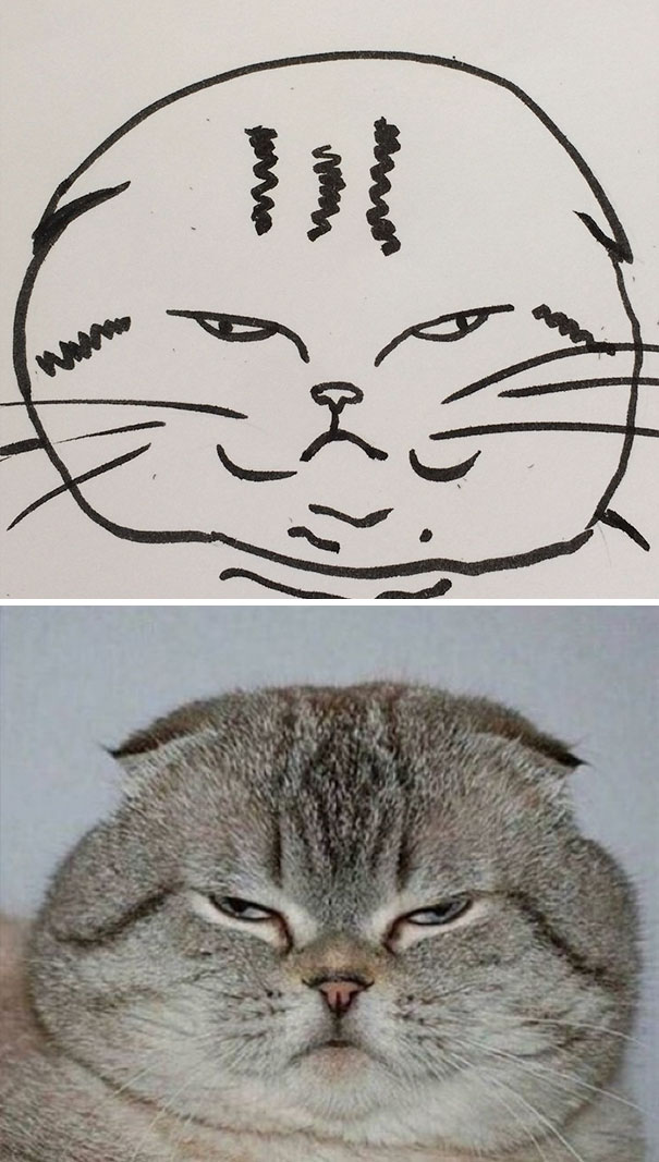 funny-poorly-drawn-cats-10