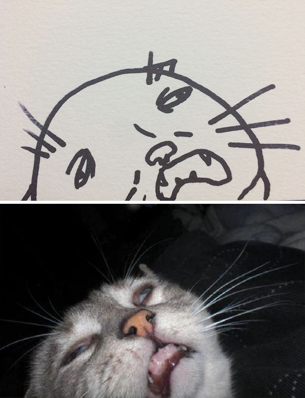funny-poorly-drawn-cats-2