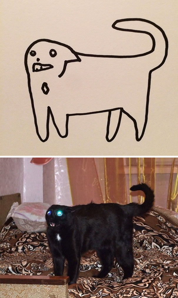 funny-poorly-drawn-cats-3