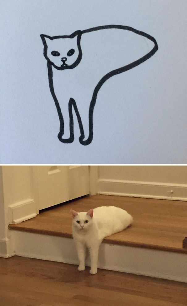 funny-poorly-drawn-cats-5