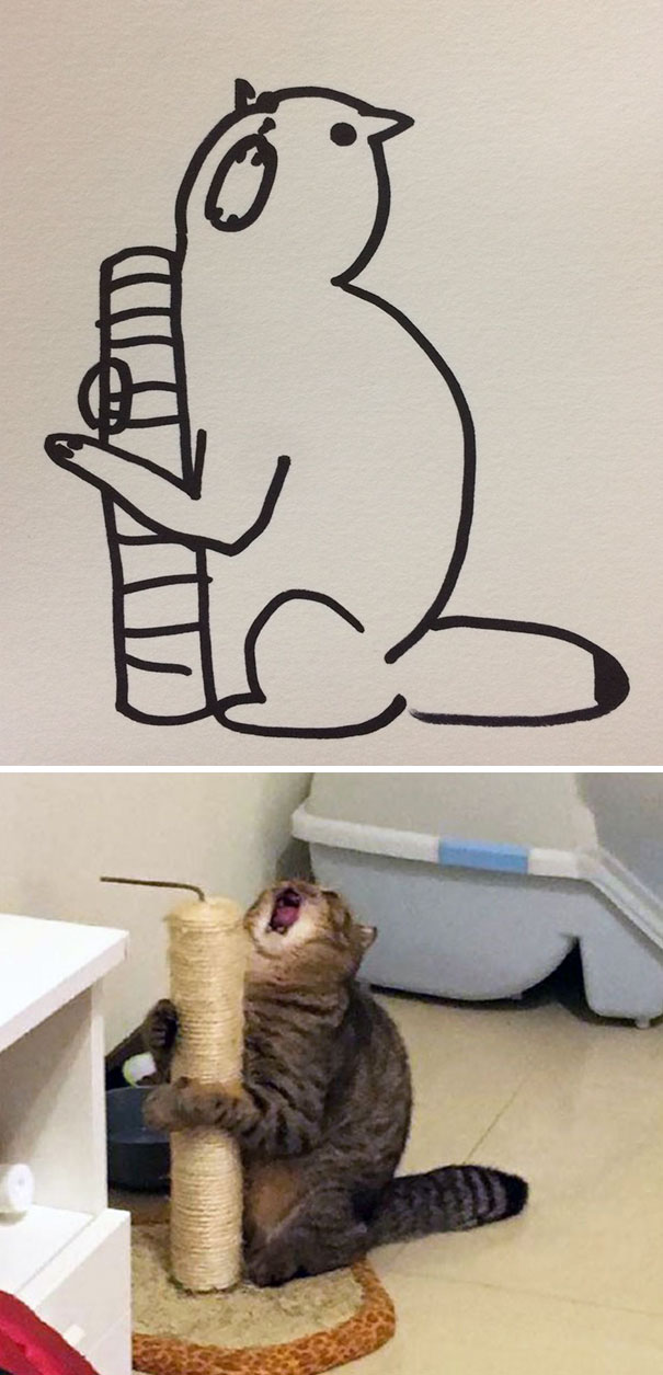 funny-poorly-drawn-cats-6